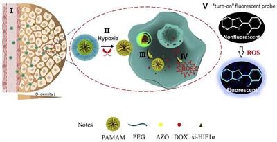 Tumor-Microenvironment- Responsive Size-Shrinkable Drug-Delivery Nanosystems for Deepened Penetration Into Tumors